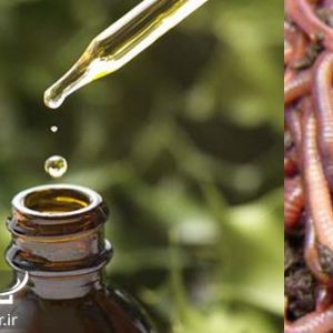 برخی خواص :
جوانسازی پوست و از بین بردن چین و چروک صورت
از بین بردن گودی زیر چشم
حجیم کردن اندام‌های بدن
از بین بردن ترک‌های پوستی
افزایش سایز اندام تناسلی مردانه
تسکین دهنده دردهای مفصلی
و...