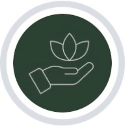 بونیتو - سافت منو