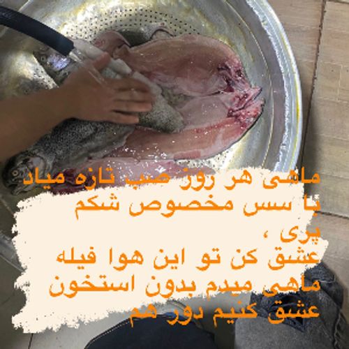 تهیه غذا گل مریم نوشهر - سافت منو