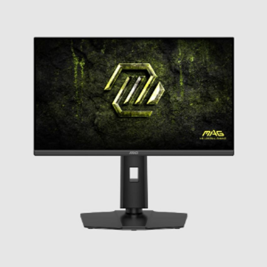 FHD/RAPID IPS/300NIT/240Hz/0.5MS/ADJUSTABLE